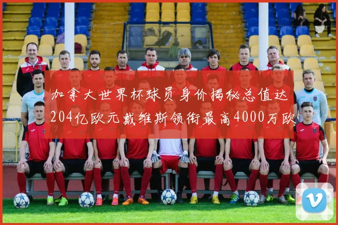 加拿大世界杯球员身价揭秘总值达204亿欧元戴维斯领衔最高4000万欧